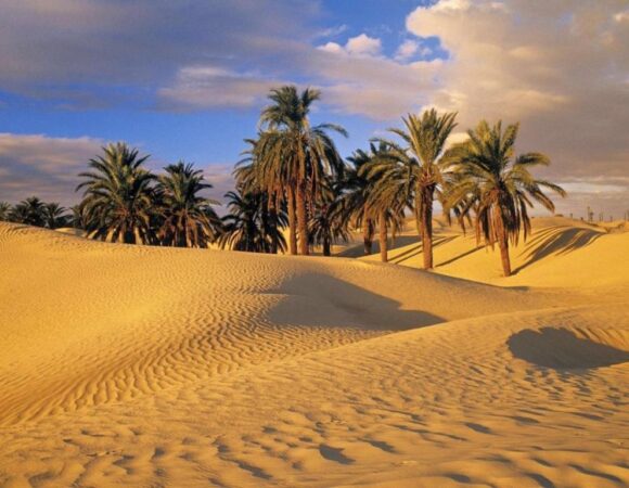 4 Days Atlas Mountains, Kasbahs & Sahara Experience From Marrakesh To Marrakesh