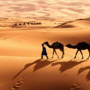 SaharaDesert-58c1a5603df78c353c3d525d